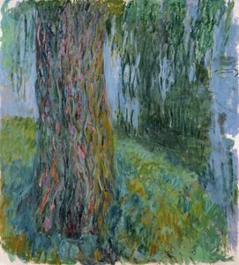 Sauce llorón y el estanque de nenúfares, 1916-19 de Claude Monet